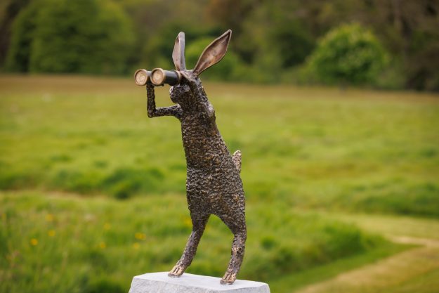Image Ballymaloe Hare
