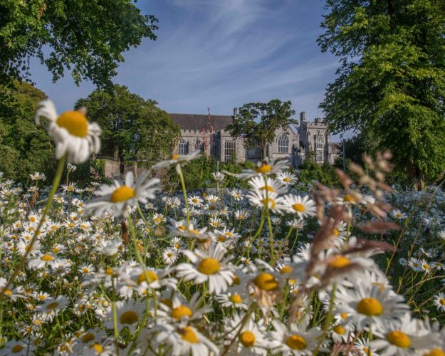 business cork feature image (22)