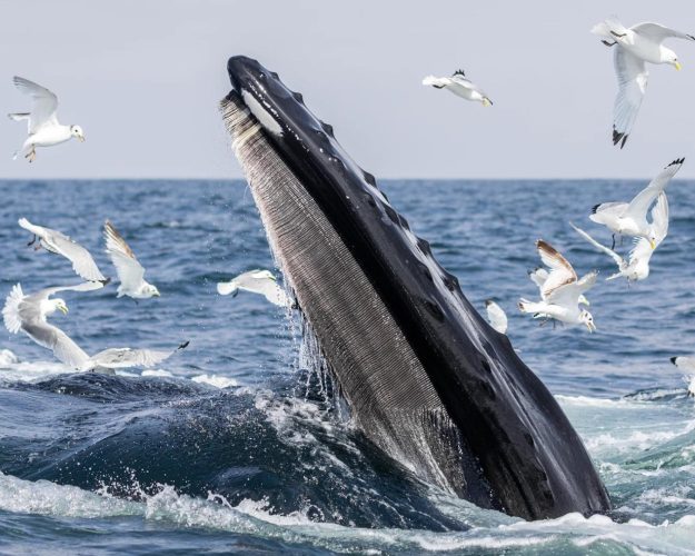 business cork feature image