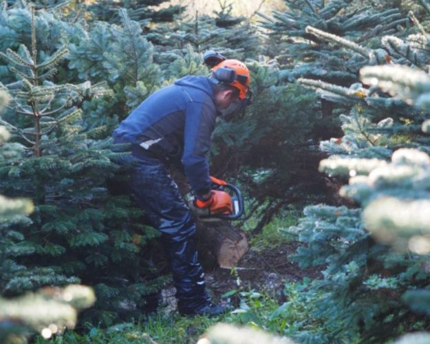 business cork feature image